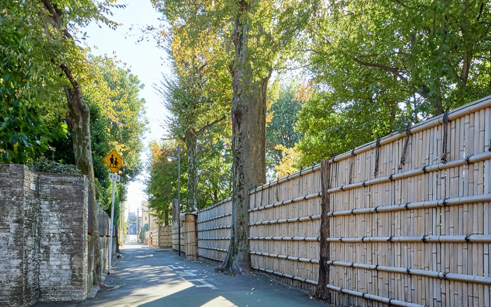 クラッシィハウス中野新井薬師前 現地周辺の街並み（大きな木と竹垣の続く細い道）