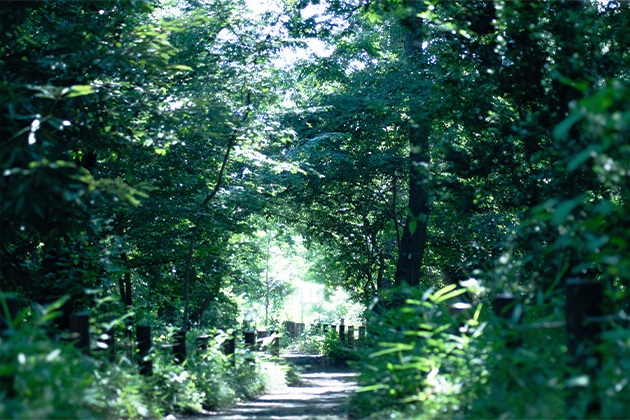 クレヴィア西国分寺 周辺公園