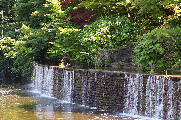 クレヴィア西国分寺 周辺公園