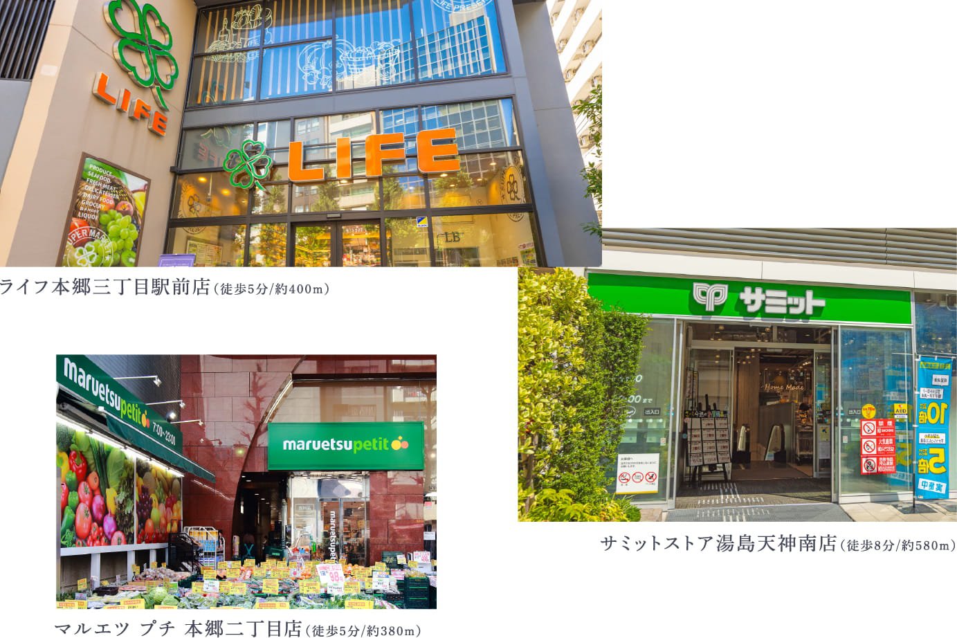 パークホームズ文京本郷 周辺のスーパー（ライフ本郷三丁目駅前店・サミットストア湯島天神南店・マルエツ プチ 本郷二丁目店）