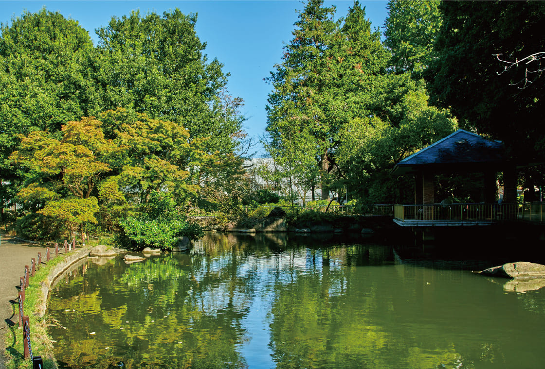 蚕糸の森公園（出典：三井不動産レジデンシャル公式）